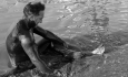 لجن درمانی دریاچه ارومیه، مقوله‌ای درآمد زا اما فراموش شده!