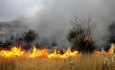 آتش سوزی مزارع کشاورزی آذربایجان غربی را تهدید می‌کند