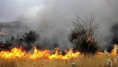 آتش سوزی مزارع کشاورزی آذربایجان غربی را تهدید می‌کند