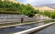 تولید ۱۶ هزارتن آبزی، مقدمه ارزآوری صادراتی آذربایجان‌غربی