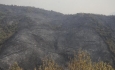 آتش سوزی در ارتفاعات مرزی تمرچین پیرانشهر مهار شد