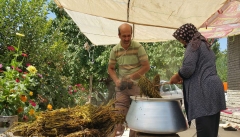 رونق کسب وکار خانگی با عرق_گیری از گیاه بادرشبو در آذربایجان غربی
