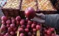 بسیاری از کسانی که موز وارد کردند اصلا صادرکننده سیب نبودند!