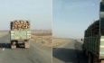 برخورد جدی با قاچاق چوب  در آذربایجان غربی