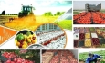 ایجاد قرارگاه امنیت غذایی در آذربایجان غربی
