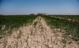 افزایش بهره‌وری مصرف آب؛ نسخه طلایی در عبور آذربایجان غربی  از خشکسالی