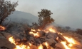 وقوع ۵۰ مورد آتش سوزی در جنگل_ها و مراتع  آذربایجان غربی