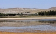 ۳ تالاب آذربایجان غربی در انتظار تامین حق آبه هستند