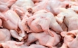کمبودی در تامین گوشت مرغ در آذربایجان غربی وجود ندارد