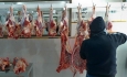 زنجیره گوشت قرمز تولیدی عشایر آذربایجان‌غربی تکمیل می‌شود