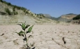 زنگ خطر کاهش بارندگی برای کشاورزان مهابادی