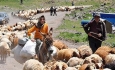 پرداخت بیش از ۱۶۵ میلیارد ریال تسهیلات به عشایر آذربایجان غربی