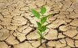 ۵۶درصد آذربایجان غربی دچار خشکسالی  بسیار شدید است