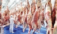 راهکار دستیابی به پایداری تولید گوشت قرمز چیست