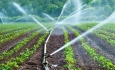 تجهیز ۵۲ درصد از مزارع چغندرقند آذربایجان‌غربی به سیستم آبیاری نوین