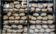 توزیع روزانه ۲۶۰ تن مرغ در بازار آذربایجان غربی