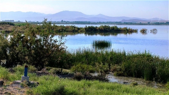 گردشگري پاي تالاب‌هاي نيمه‌جان