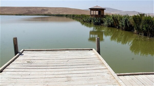 تالاب بینالمللی درگهسنگی نقده به طور کامل آبگیری شد