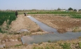 اصلاح فرایند کشاورزی موجب افزایش درآمدزایی  آذربایجان غربی