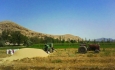 نرخ سود تسهیلات ۱۷ درصدی بخش کشاورزی  و فرصت اشتغال‌زایی در آذربایجان غربی