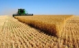 راه‌اندازی صنایع پشتیبان کشاورزی در آذربایجان غربی
