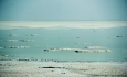 افزایش دما باعث جدایی شمال و جنوب دریاچه ارومیه خواهد شد