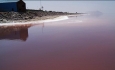 انتقال آب سدها به دریاچه ارومیه برای رفع بحران  ضروری است