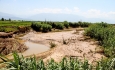 خسارت وارده به کشاورزی آذربایجان غربی ۳۵ درصد رشد داشته است