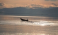 احیاء دریاچه ارومیه ممانعت از کوچ اجباری ۱۴ میلیون انسان است