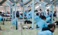 زندانیان دارای مهارت تحت حمایت‌های مبتنی بر کار قرار می‌گیرند