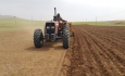 ۳۷۰ هزار هکتار در آذربایجان‌غربی زیر کشت گندم پاییزه رفت
