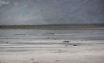 سازمان فائو برای احیای دریاچه ارومیه برنامه های مدونی را اجرا می کند