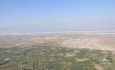توسعه کشت گلخانه راه برون رفت از بحران کم آبی دریاچه ارومیه است
