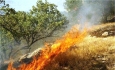 آتش درکمین جنگلها و مراتع آذربایجان غربی