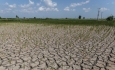 بحران آب خوی نتیجه کم کاری مسئولان استانی و کشوری است