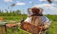 قطب اول تولید عسل کشور خریدار ندارد