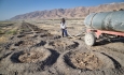 پروژه‌های نهال‌کاری در حاشیه دریاچه ارومیه با مشکل  تامین آب روبه رو است