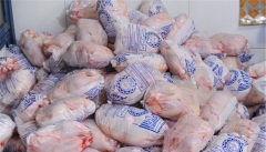 ۴۰۰ تن مرغ منجمد طرح تنظیم بازار در آذربایجان‌ غربی توزیع شد