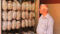 نظارت یا تولید، مقصر اصلی بازار آشفته مرغ در آذربایجان غربی چیست