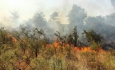 آتش سوزی مناطق جنگلی سردشت به طور کامل مهار شد