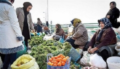 ۱۶۴صندوق خرد زنان روستایی در آذربایجان غربی فعالیت می کنند
