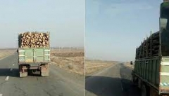 برخورد جدی با قاچاق چوب  در آذربایجان غربی