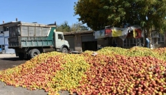آذربایجان غربی پایانه صادرات کشاورزی ندارد