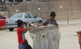 کودکانی که در زباله های شهر به دنبال نان هستند