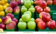 ۸۰۰ هزار تن سیب در سردخانه‌های آذربایجان‌غربی  آماده صادرات است