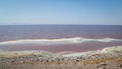 کشاورزی دانش بنیان حلقه مفقوده در احیای دریاچه ارومیه
