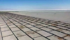 طرح بادشکن غیرزنده در حاشیه دریاچه ارومیه اجرایی شد