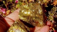 نیمی از ذخایر طلای کشور در آذربایجان غربی شناسایی شده است