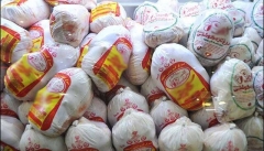 ذخیره ۱۲۵۰ تن مرغ منجمد در آذربایجان غربی
