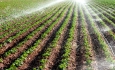 ممنوعیت استفاده ازآب_های نامتعارف برای آبیاری  محصولات کشاورزی در ارومیه